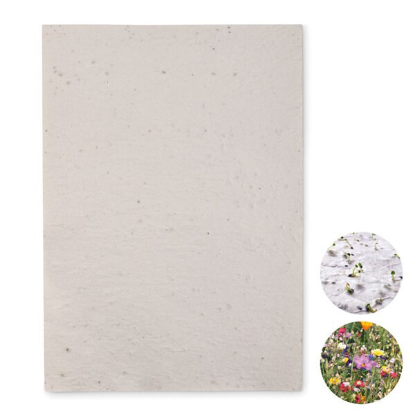 ASIDI A4-ark fröpapper vildblommor - GiftRetail MO6914