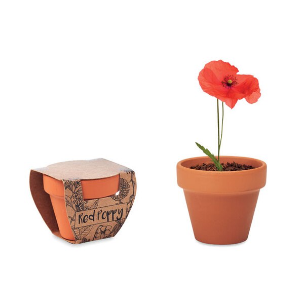 RED POPPY Terracotta skål poppy - GiftRetail MO6148