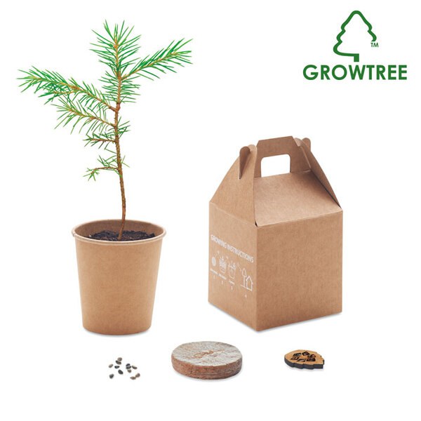 GROWTREE™ Pappersset av furu - GiftRetail MO6228
