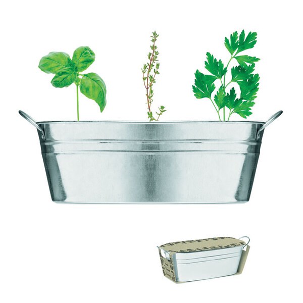 MIX SEEDS Zinkburk med 3 olika örtfrön - GiftRetail MO6497
