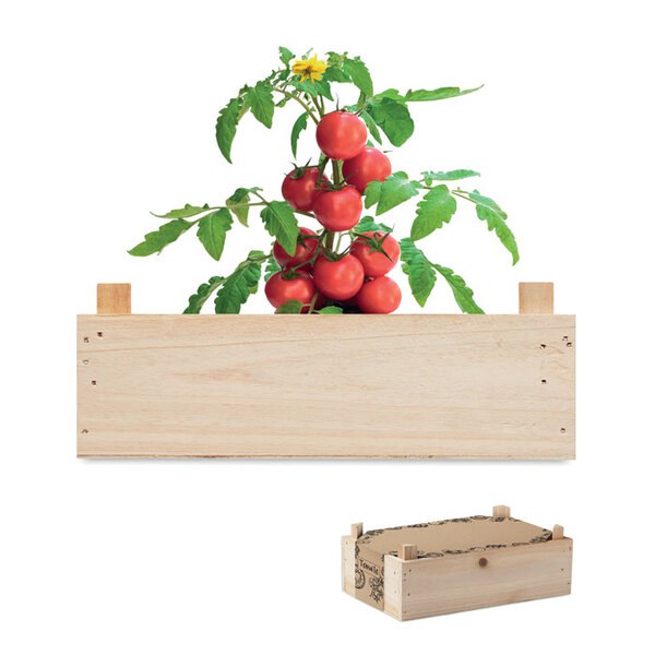 TOMATO Tomatkit i trälåda - GiftRetail MO6498