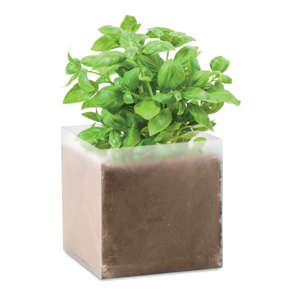 BASIL Kruka med Basilika - GiftRetail MO9545