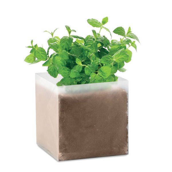 MINT Kruka med Mynta - GiftRetail MO9546
