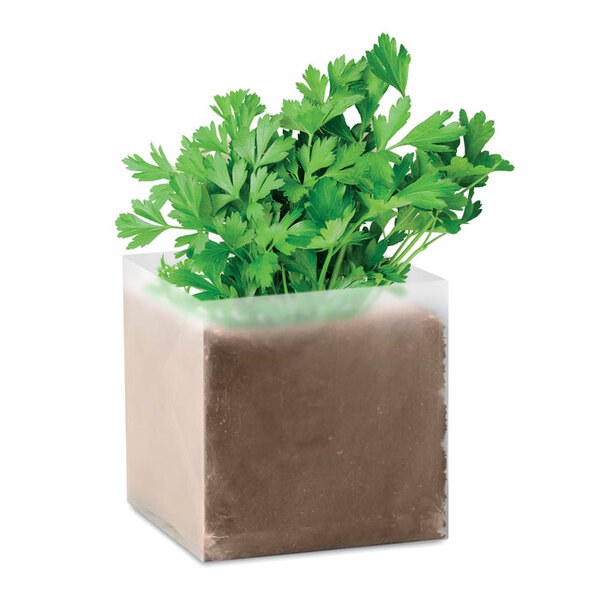 PARSELY Kruka med Persilja - GiftRetail MO9547