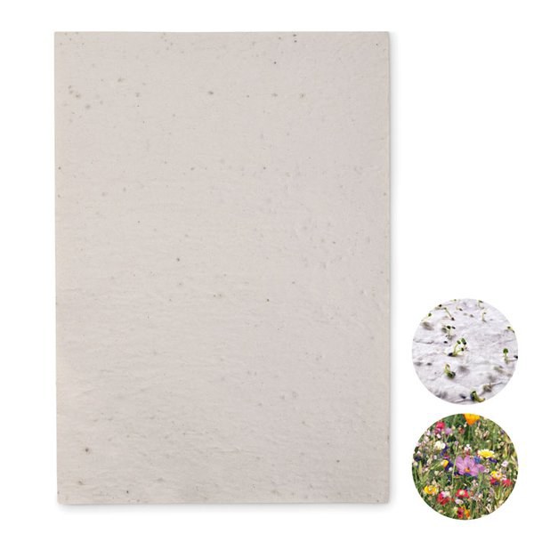 ASIDI A4-ark fröpapper vildblommor - GiftRetail MO6914