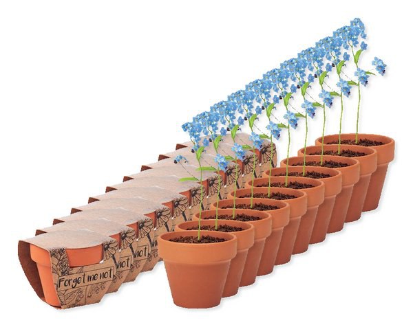 Förpackning med 100 GiftRetail MO6146 - FORGET ME NOT Terracotta skål forget me not